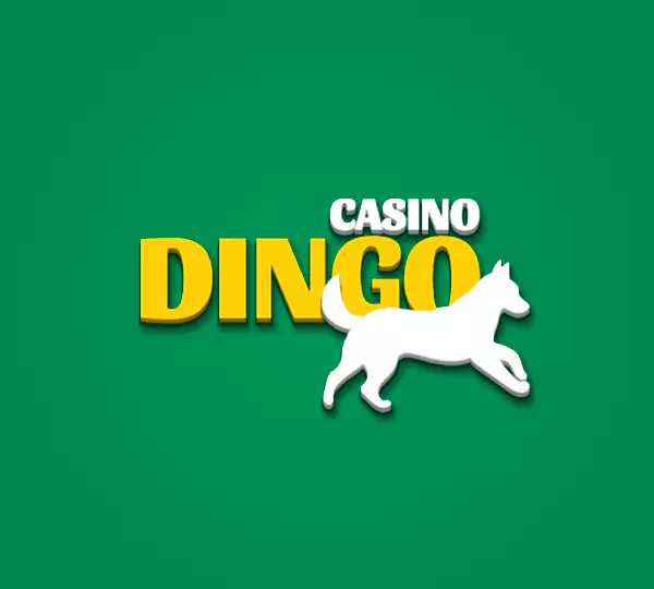 casino dingo